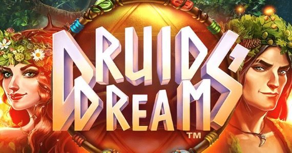 Druids Dream game NZ