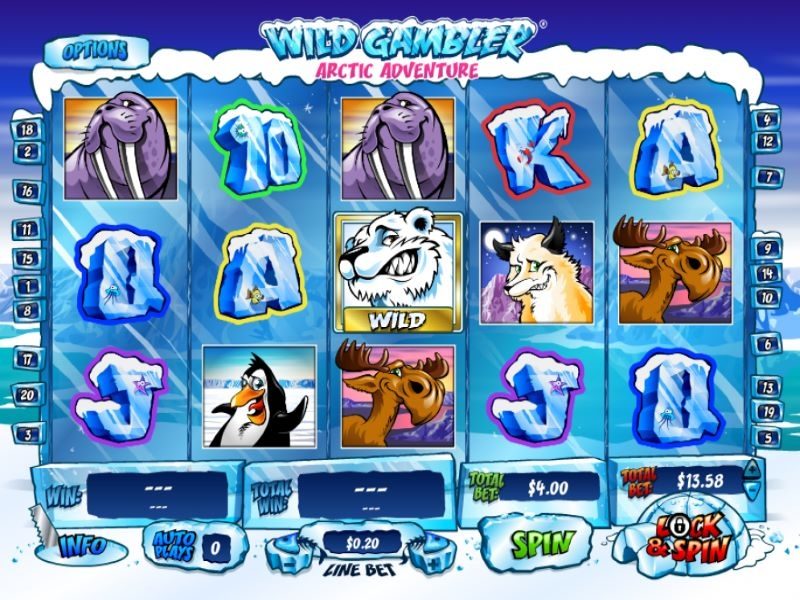 Wild Gambler Arctic Adventure game view nz
