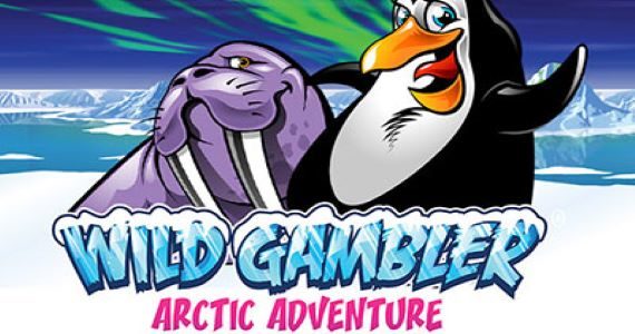 Wild Gambler Arctic Adventure pokie game nz