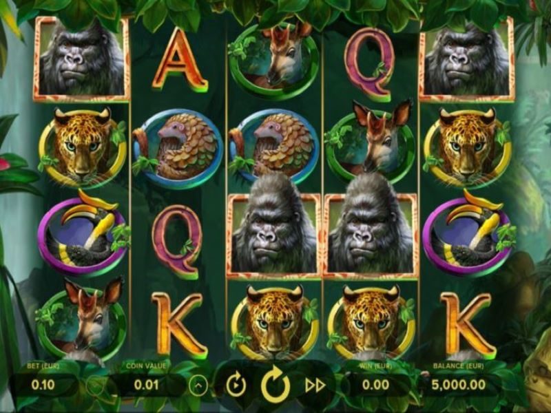 Gorilla kingdom pokie game NZ