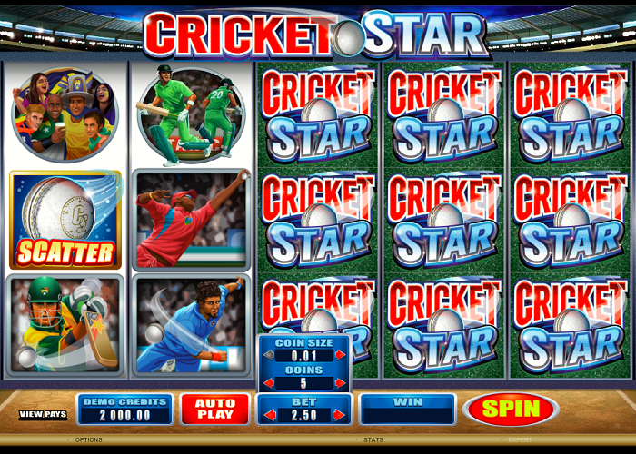 Cricket Star game view NZ