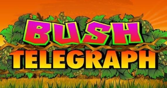 Bush Telegraph pokie game by Microgaming