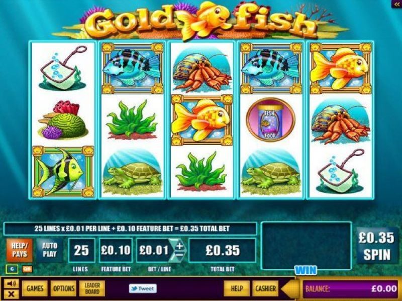 Goldfish game view nz