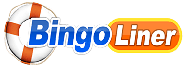 Bingo Liner Review NZ