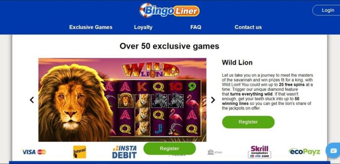 Bingo Liner exclusive games